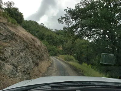 20190520_105423 (Large).jpg